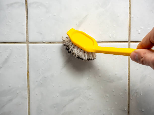 Best Emergency Mold Removal  in Gladstone, MO