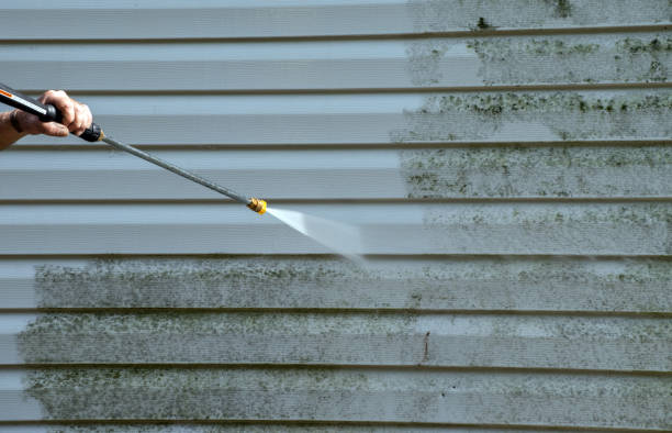 Best Attic Mold Removal  in Gladstone, MO