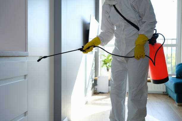 Best Fast Mold Removal  in Gladstone, MO