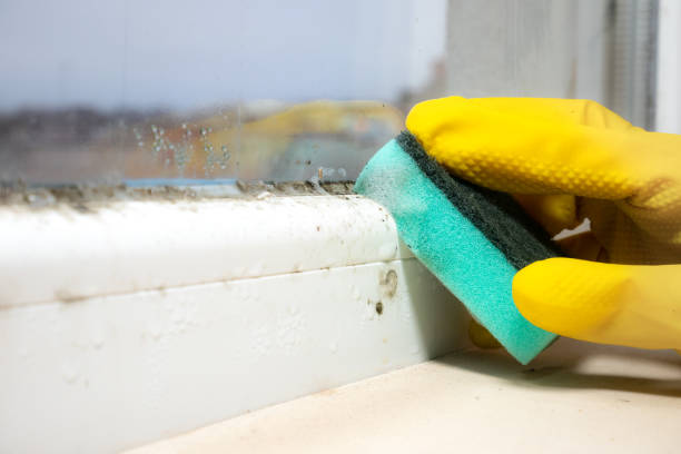 Crawl Space Mold Removal in Gladstone, MO